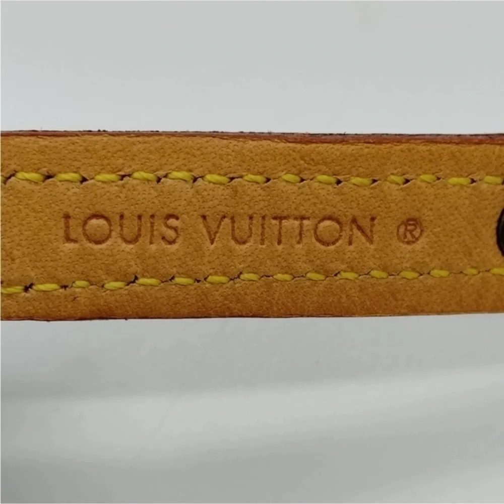 Louis Vuitton Baxter Dog Collar
